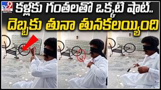 Viral: ఓర్నీ బతికున్న బల్లిని అమాంతం మింగేశాడుగా.. ఎందుకో తెలుసా..? వీడియో వైరల్..