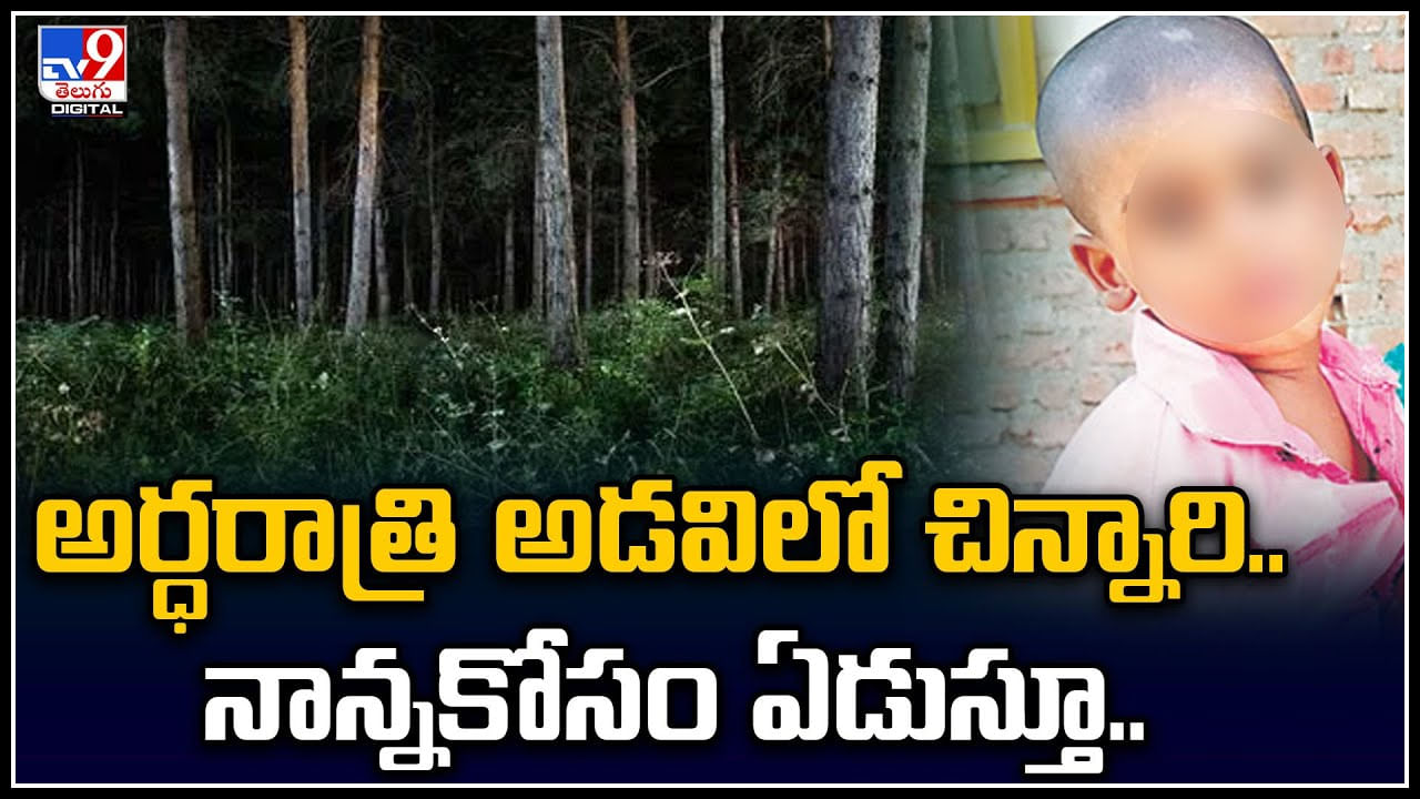 Viral Video: అర్ధరాత్రి అడవిలో తండ్రి శవం పక్కనే చిన్నారి.. అలా ఏడుస్తూనే..