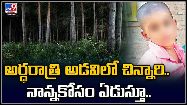 Viral Video: అర్ధరాత్రి అడవిలో తండ్రి శవం పక్కనే చిన్నారి.. అలా ఏడుస్తూనే.. Viral Video: అర్ధరాత్రి అడవిలో తండ్రి శవం పక్కనే చిన్నారి.. అలా ఏడుస్తూనే..