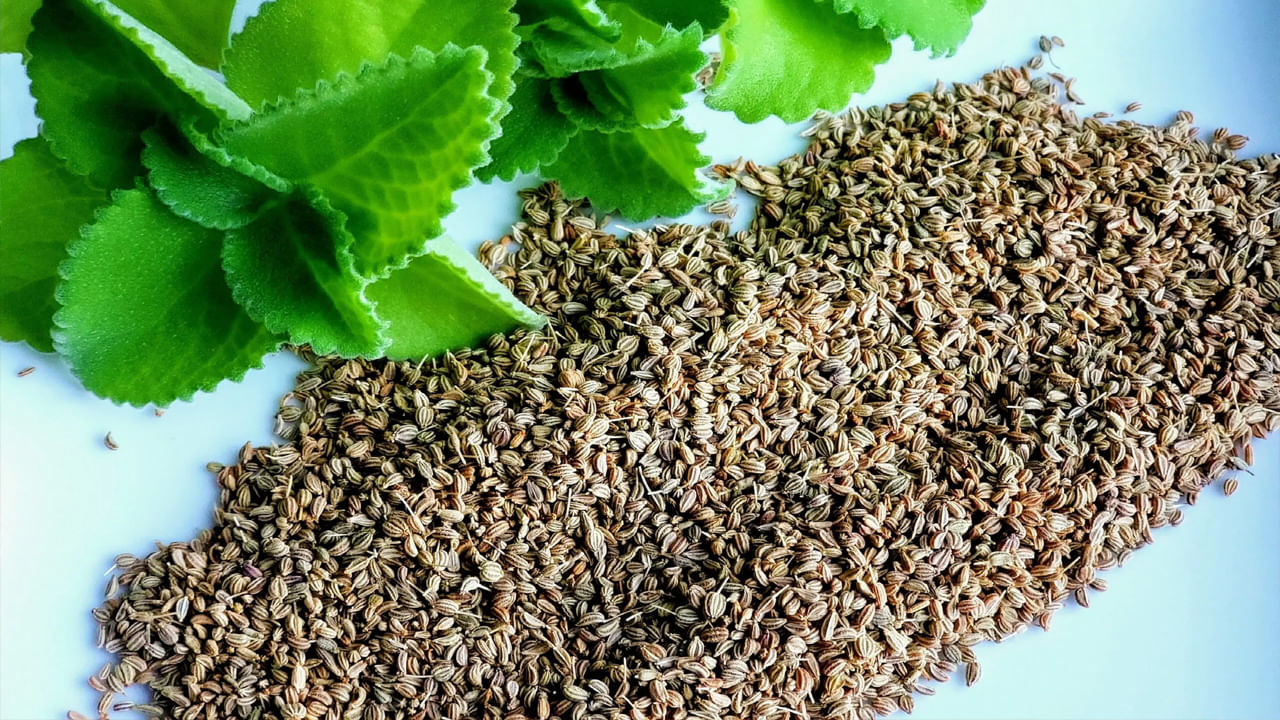 Ajwain Benefits వాముతో ఎన్నో ప్రయోజనాలు.. వామును ఇలా ఉపయోగిస్తే ఉదార