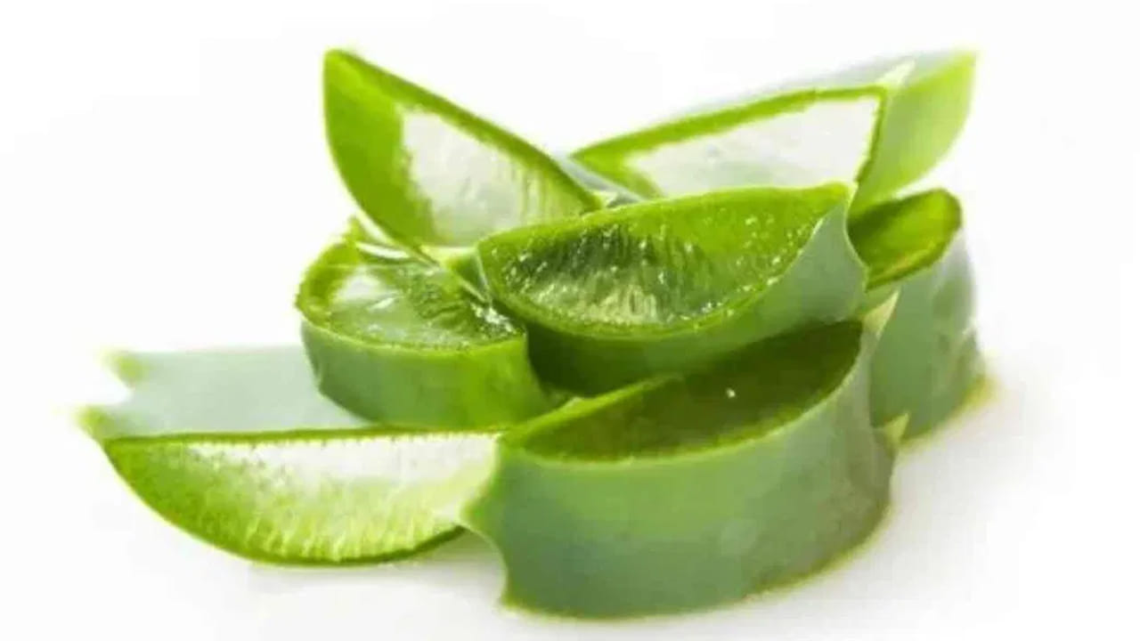 నరాల సమస్య: ముఖ్యంగా కిడ్నీలో రాళ్లు ఉన్నవారు, నరాల సమస్యలు కలబందను తీసుకోకూడదు. దీన్ని తీసుకోవడం వలన కిడ్నీ సమస్యలు వచ్చే అవకాశం ఎక్కువ. కలబంద తీసుకోవడం వల్ల తక్కువ రక్తపోటు సమస్యలు పెరుగుతాయి. తక్కువ రక్తపోటు ఉన్నవారు కలబందను తినకూడదు.