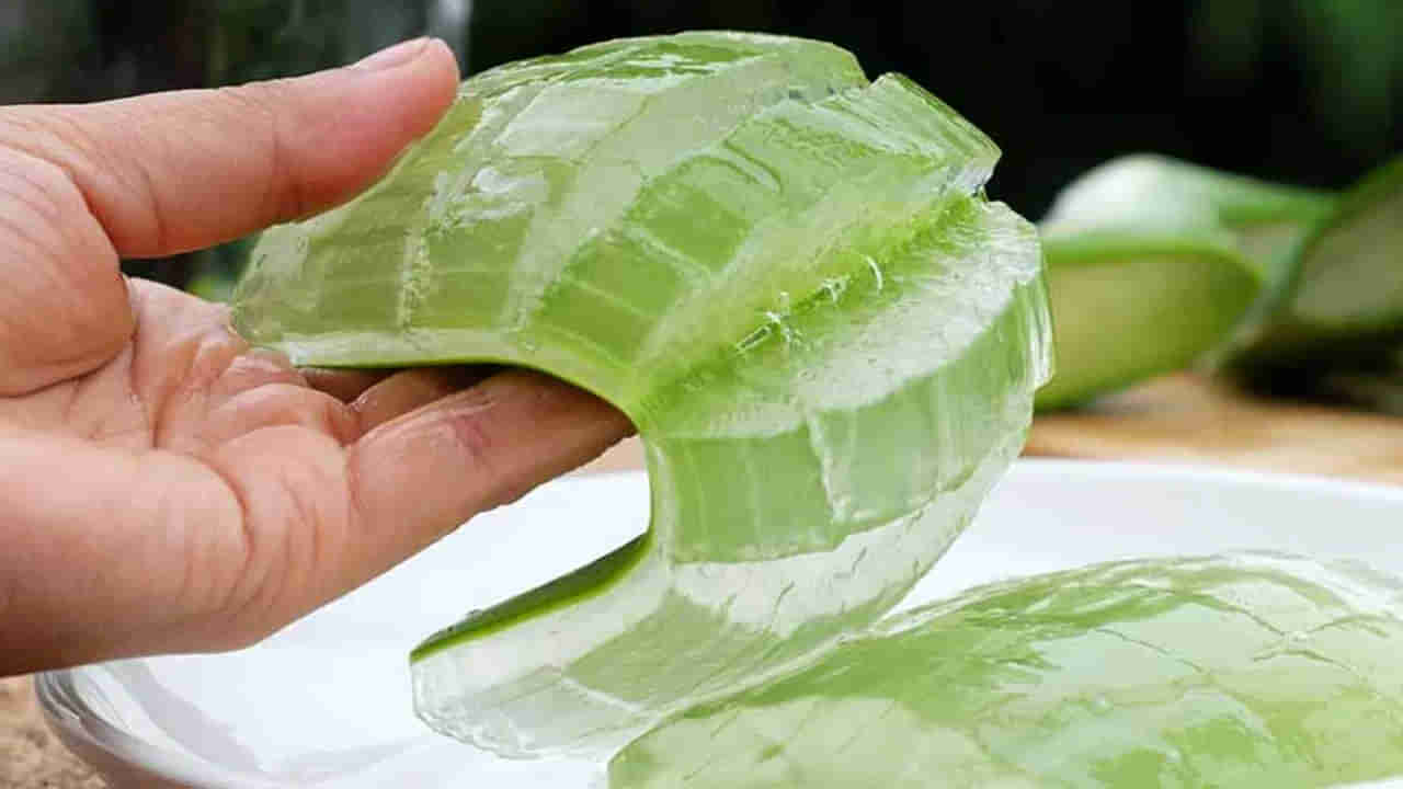 Aloe Vera Juice Benefits and Side Effects:  పరగడుపునే కలబంద రసం తాగితే ఏమవుతుందో మీకు తెలుసా?