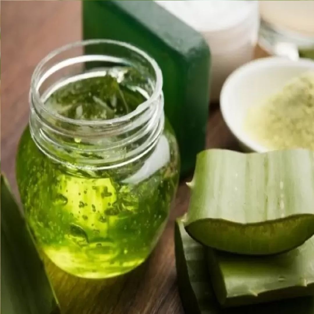 అలాగే నాడీ సమస్యలు, ముఖ్యంగా కిడ్నీ స్టోన్ ఉన్నవారు కలబందను అస్సలు తీసుకోవద్దు. దీనివలన కిడ్నీ సమస్య మరింత పెరిగే అవకాశం ఉంది. కలబందను తీసుకోవడం వలన రక్తపోటు సమస్య కలుగుతుంది. అందువలన తక్కువ రక్తపోటు ఉన్నవారు కలబందను తీసుకోవద్దు.