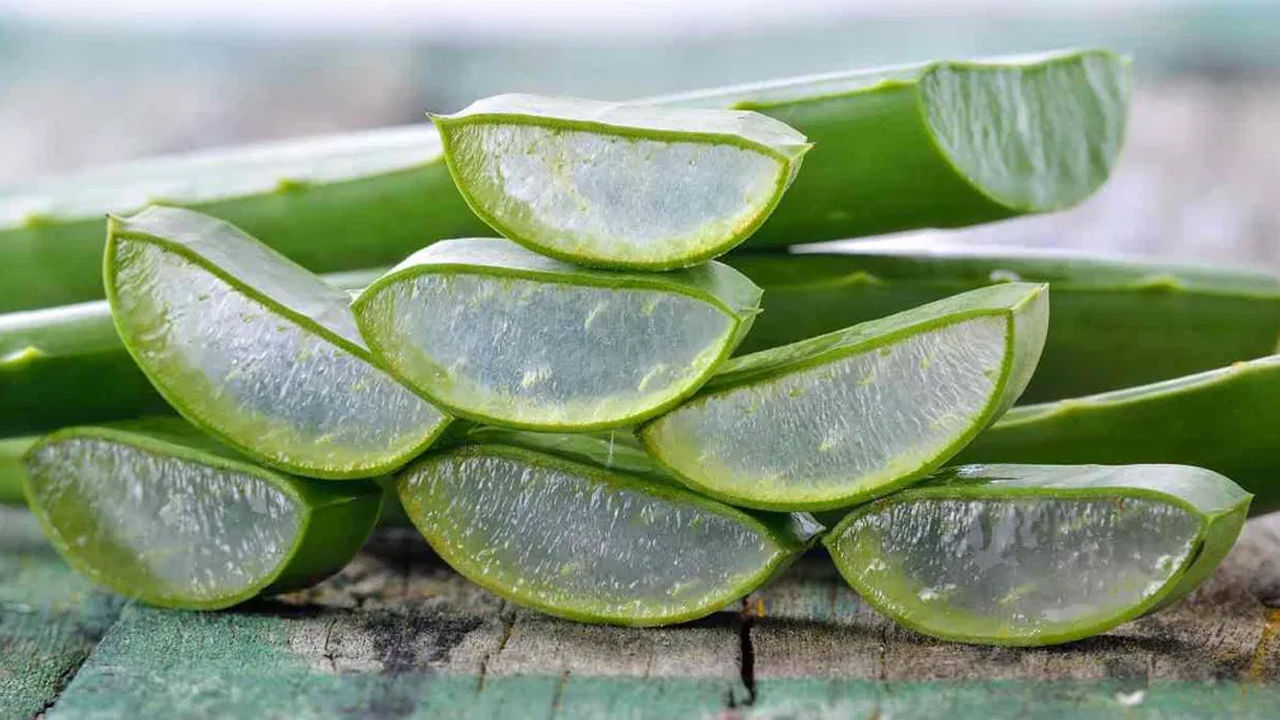 చర్మ, జుట్టు సమస్యల పరిష్కారినికి కలబంద చాలా మంచిది. ఇది శరీరంలో అధిక ఉష్ణోగ్రతను కూడా తగ్గిస్తుంది. రోజూ ఉదయాన్నే ఖాళీ కడుపుతో కలబందను తీసుకోవడం వల్ల శరీర ఉష్ణోగ్రత తగ్గడమే కాకుండా ఇతర ఆరోగ్య సమస్యలు కూడా తగ్గుతాయి. అయితే కలబందను రోజూ తీసుకోవడం కూడా ప్రమాదకరమే అని చెబుతున్నారు ఆరోగ్య నిపుణులు.