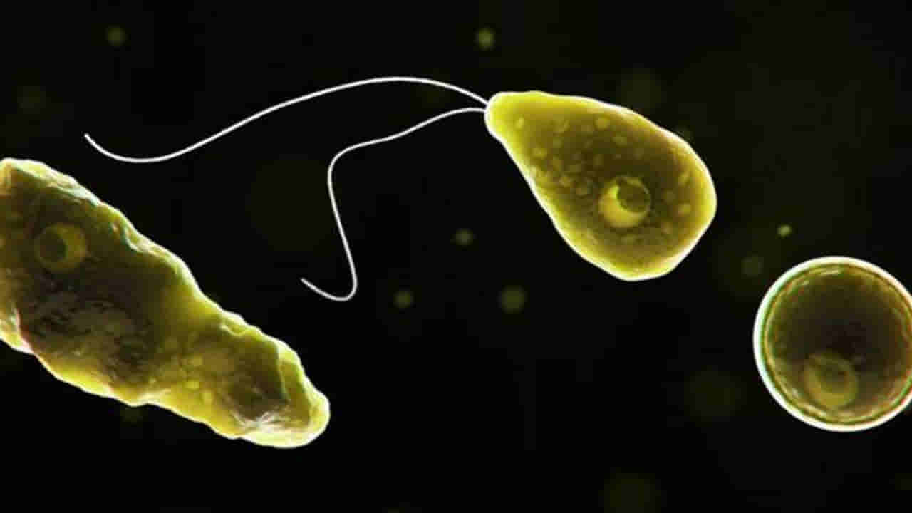 Naegleria fowleri: నైగ్లేరియా ఫ్లవరీ.. మెదడు తినే ప్రాణాంతక బ్యాక్టీరియాతో కేరళ టీనేజర్ మృతి