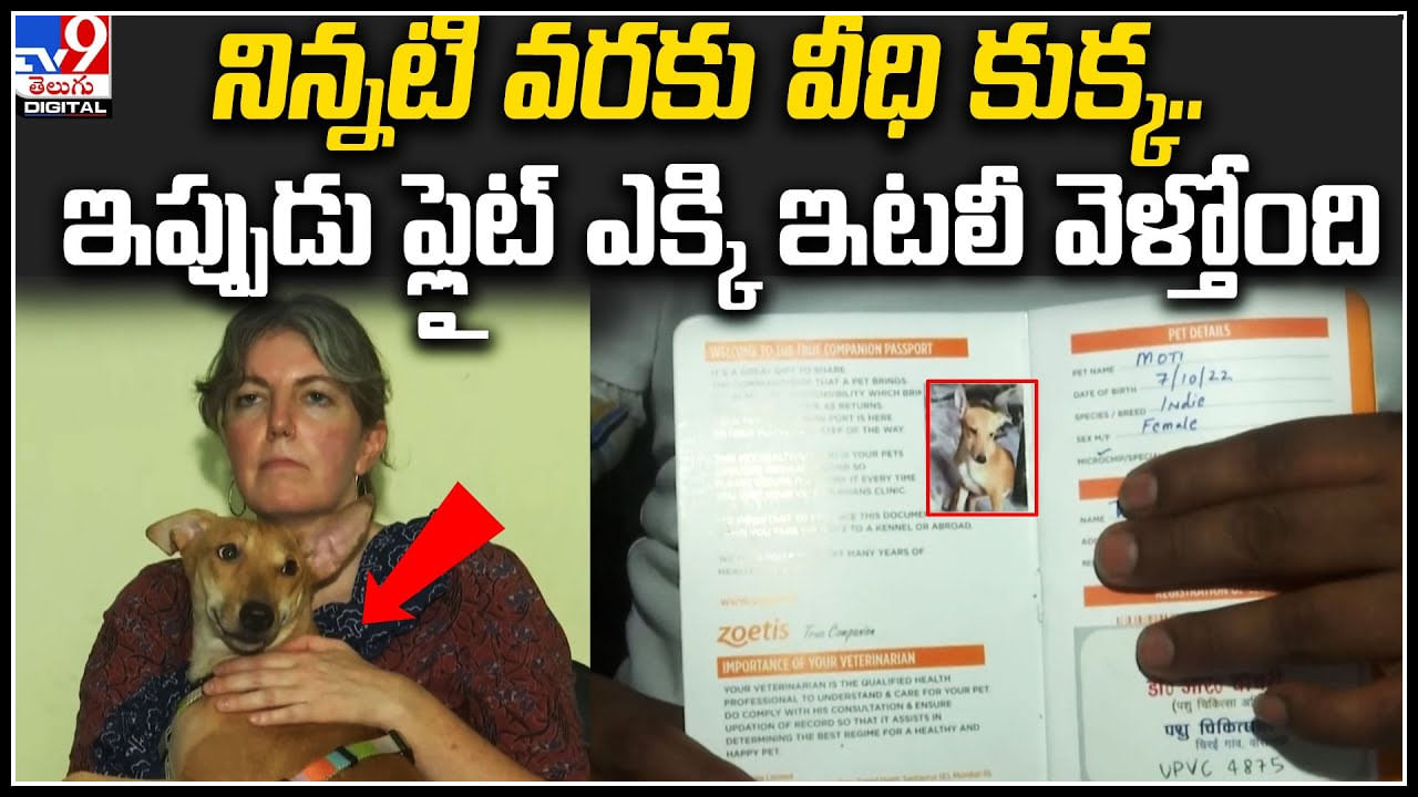 Viral Video: ప్రతి కుక్కకీ ఓ రోజు వస్తది అంటే ఇదేనేమో.. నిన్నటి వరకు వీధి కుక్క ఇప్పుడు ఫ్లైట్ లో..