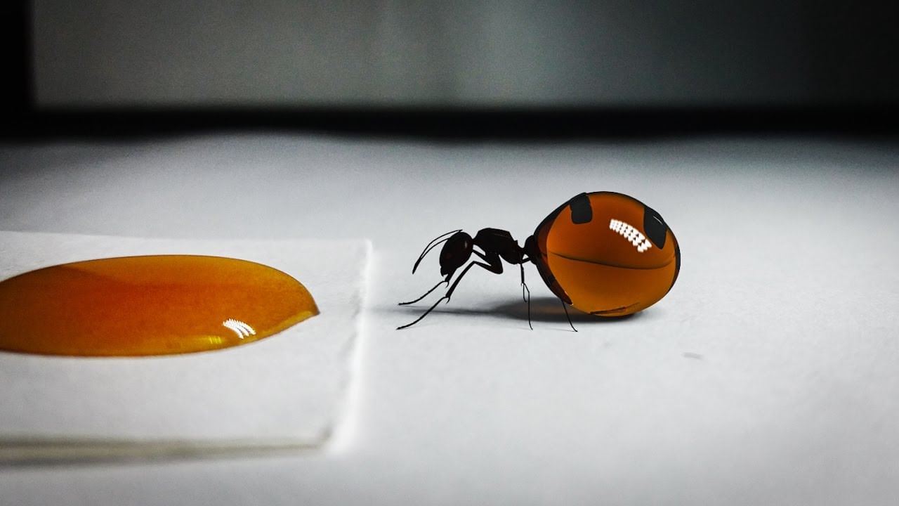 Ant Honey Benefits: 'చీమల తేనె'.. దీంతో అన్ని ఇన్ ఫెక్షన్లకు చెక్