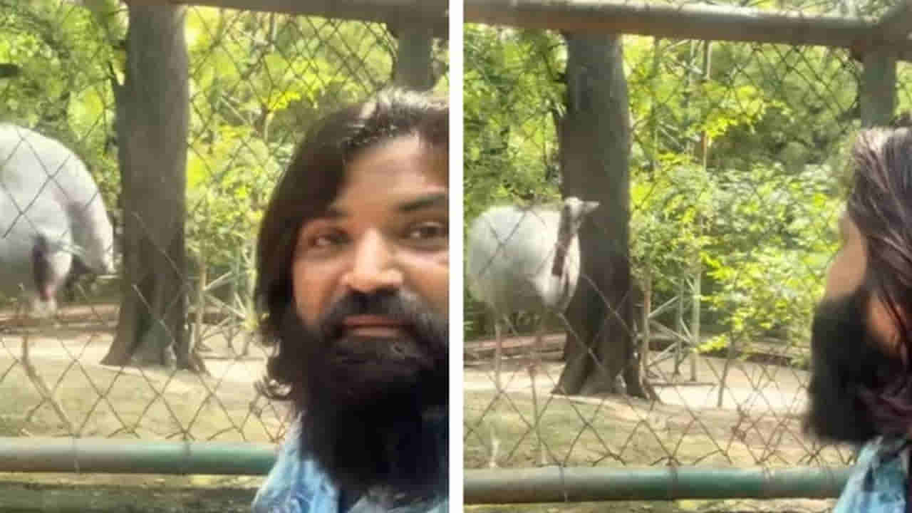 చాలా రోజులకు తన మిత్రుని వద్దకు వెళ్లిన ఆరిఫ్.. సంతోషం పట్టలేక కొంగ ఏం చేసిందంటే