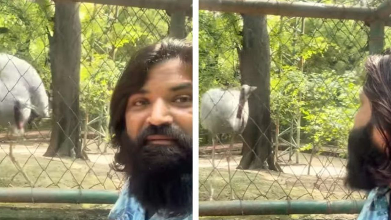 చాలా రోజులకు తన మిత్రుని వద్దకు వెళ్లిన ఆరిఫ్.. సంతోషం పట్టలేక కొంగ ఏం చేసిందంటే