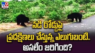 వజ్రాలా ?? రంగు రాళ్లా  ?? రాత్రికి రాత్రే !!