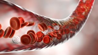 Health: యూరిన్ దుర్వాసన వస్తోందా… కారణం ఇదే తెలుసా.?