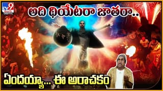 Akira Nandan: ఫ్యాన్స్ ధాటికి.. థియేటర్లో తలపట్టుకున్న అఖీరా