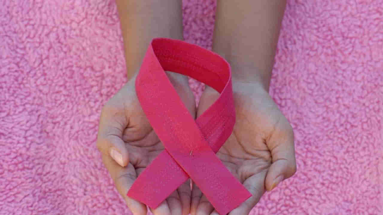 Cancer: కేవలం 4 నిముషాలు ఇంటిపనితో క్యాన్సర్ దూరం.. పరిశోధకుల అధ్యయనంలో కీలక విషయాలు