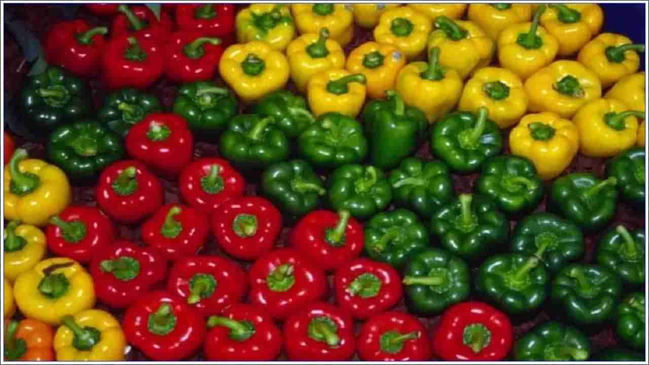 Capsicum Price Hike: ఇక్కడ టమాటా కంటే క్యాప్సికం ధర అధికం.. ప్రజల నడ్డి వరుస్తున్న ధరలు