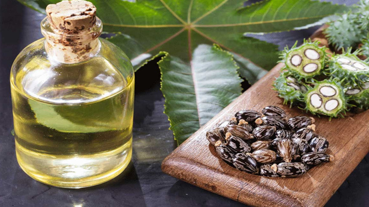 Castor Oil- ఆముదంలో రిసినోలిక్ యాసిడ్ పుష్కలంగా ఉంటుంది. ఇది చర్మాన్ని మాయిశ్చరైజ్ చేసి చర్మాన్ని హైడ్రేట్ గా ఉంచుతుంది.
