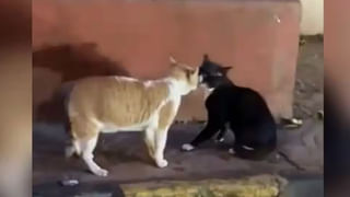 Viral: ఆన్‌లైన్‌లో కండోమ్స్ ఆర్డర్ ఇచ్చాడు.. తీరా డబ్బులు కట్టాక దెబ్బకు మైండ్ బ్లాంక్.!