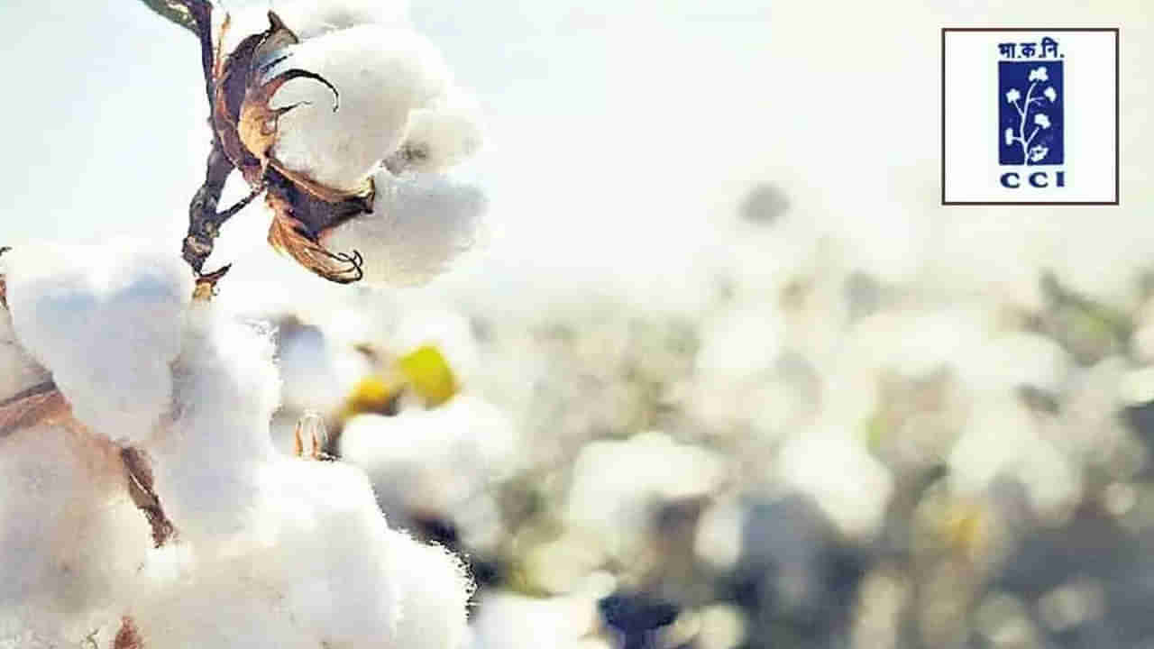 Govt Jobs: కేంద్ర ప్రభుత్వ సంస్థలో ఉద్యోగాలు.. అర్హులు ఎవరు.? ఎలా దరఖాస్తు చేసుకోవాలి.?