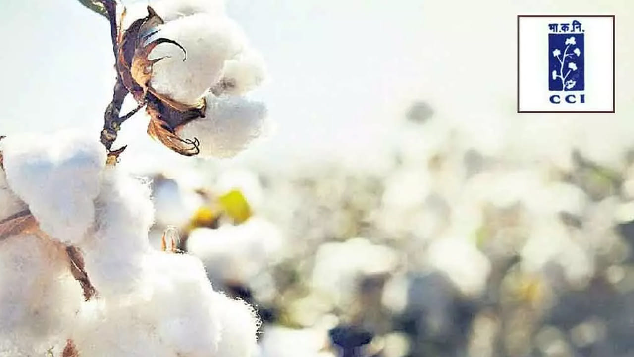 Govt Jobs: కేంద్ర ప్రభుత్వ సంస్థలో ఉద్యోగాలు.. అర్హులు ఎవరు.? ఎలా దరఖాస్తు చేసుకోవాలి.?