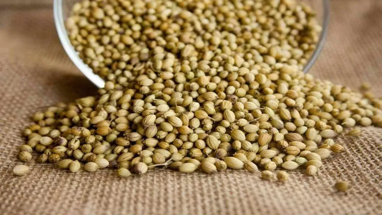 Coriander Seeds Water: ధనియాలను నాన బెట్టిన నీటిని తాగితే అమేజింగ్ బెనిఫిట్స్!!