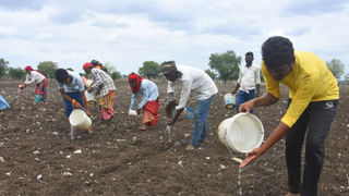 Telangana: స్కూల్‌పై గొంగళి పురుగుల అటాక్‌.. దెబ్బకు సెలవు ప్రకటించిన ఉపాధ్యాయులు..