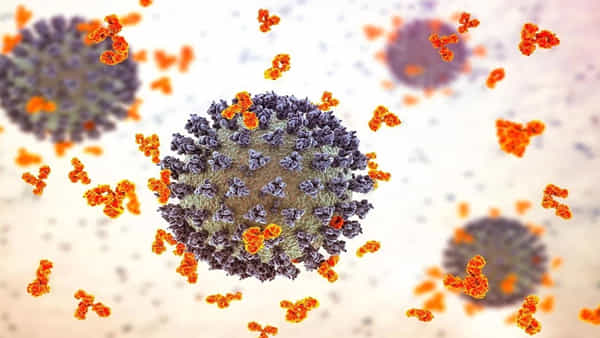 Covid-like disease: కోవిడ్ లాంటి కొత్త వైరస్ వ్యాప్తి..అమెరికా నుండి.. షాకింగ్ రిపోర్ట్ వెల్లడి..