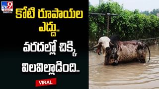 లక్షల జీతం వదులుకొని.. వ్యవసాయ సాగుబడిలో సాఫ్ట్‌వేర్