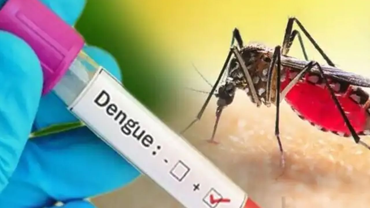 Type-2 Dengue Cases: బీఅలర్ట్.. పెరుగుతున్న టైప్-2 డెంగ్యూ కేసులు.. కేవలం 4 రోజుల్లోనే ఐదుగురు మృతి..