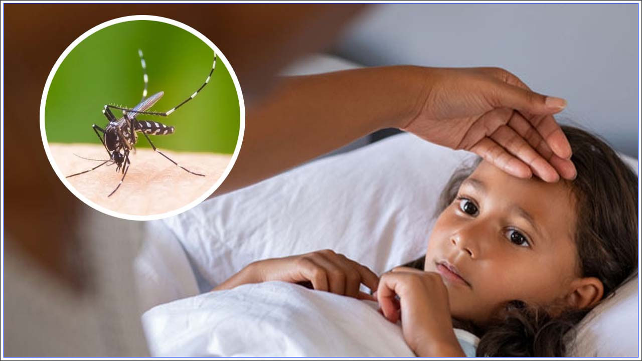 Dengue Fever: డెంగ్యూ వ్యాధి లక్షణలు ఏమిటి..? దానిని ఎలా నివారించాలి?