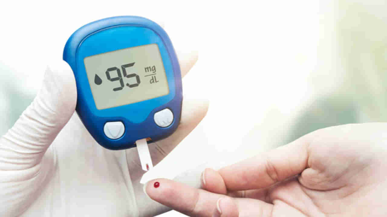 Diabetics: ఈ నాలుగు డయాబెటిస్‌ను అదుపులో ఉంచుతాయి..? ఇవి రోజువారీ ఆహారంలో చేర్చుకోండి