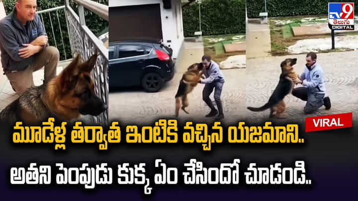 మూడేళ్ల తర్వాత ఇంటికి వచ్చిన యజమాని.. అతని పెంపుడు కుక్క ఏం చేసిందో చూడండి.. మూడేళ్ల తర్వాత ఇంటికి వచ్చిన యజమాని.. అతని పెంపుడు కుక్క ఏం చేసిందో చూడండి..