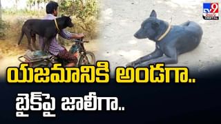 ఒక్క క్షణం ఆ తల్లి ఆలస్యం చేసి ఉంటే… ఆ బిడ్డ దక్కేది కాదు