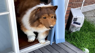 Viral Photo: మాస్టారూ.. మెగాస్టారూ.! ఈ ఫోటోలో ‘218’ నెంబర్ దాగుంది.? అది ఏ చోట ఉందో చెప్పగలరా..