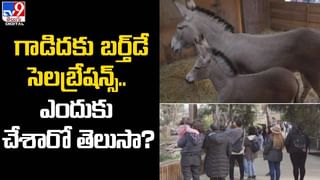 Vijayawada: జయవాడలో అందుబాటులోకి ట్రైన్ కోచ్ హోటల్