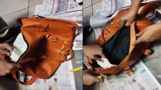 Tomato-Chillies Price Hike: టమాటా బాటలో పయనిస్తున్న పచ్చి మిర్చి .. కిలో రూ.400.. మరింత పెరిగే అవకాశం ఉందంటూ..