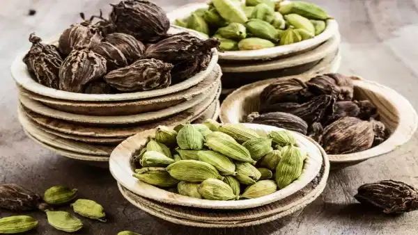 Elaichi Benefits: యాలకుల గురించి మీకు తెలియని మైండ్ బ్లోయింగ్ నిజాలు