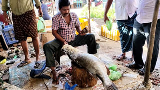 Godavari Floods: గోదావరి ప్రళయానికి ఏడాది.. సరిగ్గా ఈ రోజునే మహోగ్రరూపం దాల్చిన గోదారమ్మ..