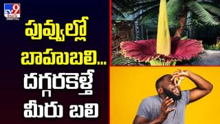 Digital TOP 9 NEWS: ఢిల్లీలో వరద బీభత్సం | హైదరాబాద్‌లో కిడ్నాప్ కలకలం