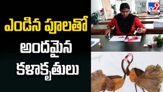 Viral Video: చీరకట్టులో మహిళ సముద్రంపై సర్ఫింగ్