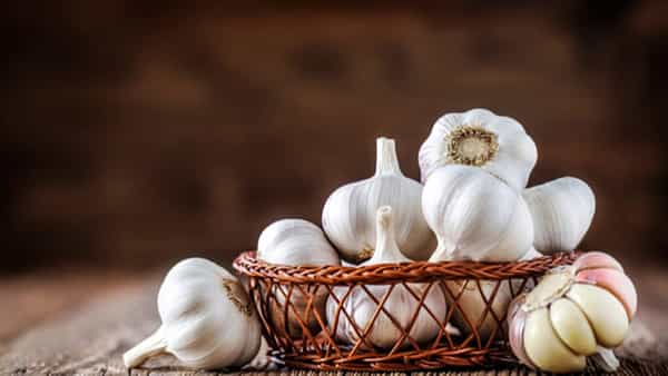 Garlic Benefits: ఖాళీ కడుపుతో వెల్లుల్లి తింటే ఎన్ని ఉపయోగాలో తెలిస్తే అస్సలు మిస్ చేయరు
