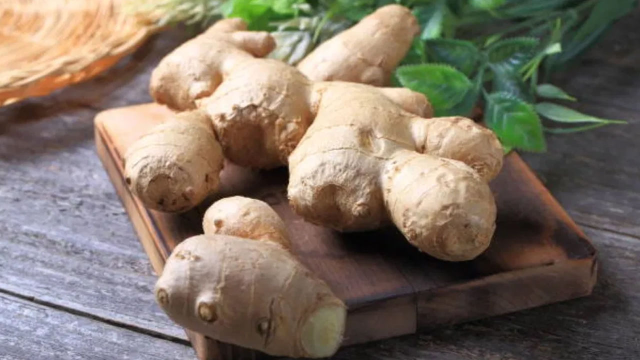 మార్కెట్‌లో అల్లం ధర కూడా ఎక్కువగానే ఉంది. ఈ పరిస్థితిలో, అటువంటి చిట్కాలను తెలుసుకోవాలి, తద్వారా అల్లం చాలా కాలం పాటు భద్రపరచబడుతుంది. అల్లం కుళ్ళిపోకుండా నిరోధించడానికి సాధారణ చిట్కాలను ఉపయోగించండి. 