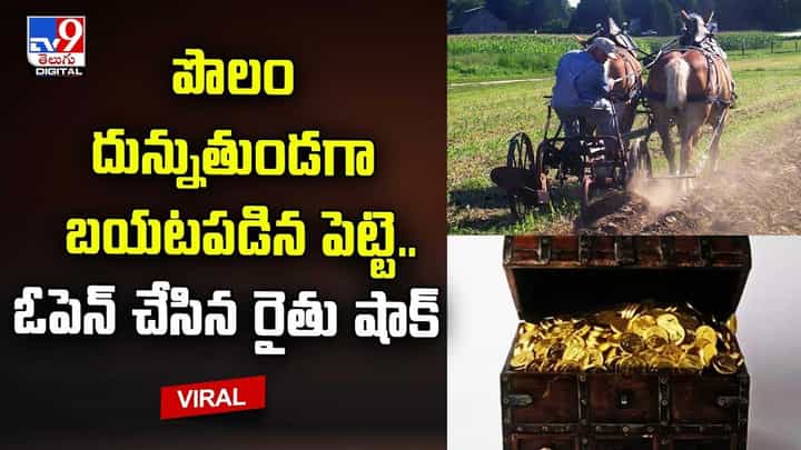 పొలం దున్నుతుండగా బయటపడిన పెట్టె.. ఓపెన్ చేసిన రైతు షాక్ పొలం దున్నుతుండగా బయటపడిన పెట్టె.. ఓపెన్ చేసిన రైతు షాక్