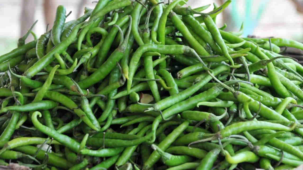 Green Chilli: పచ్చిమిర్చి ప్రయోజనాలు తెలిస్తే అస్సలు వదలరు..! ఈ రోగాలు వేర్లు లేకుండా పోతాయి..