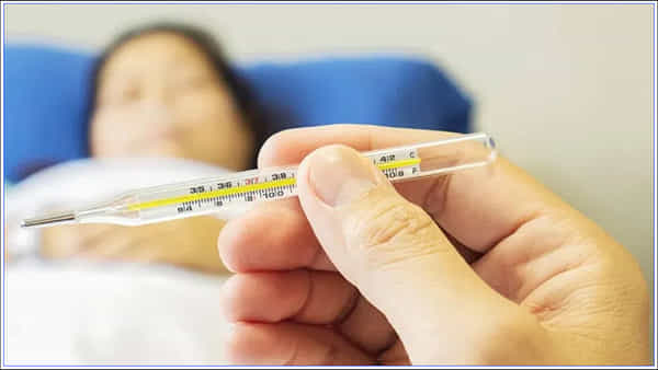 Health Tips: వాకింగ్కి వెళ్లేటప్పుడు ఈ జాగ్రత్తలు తీసుకోండి.. లేకపోతే టైఫాయిడ్, డెంగ్యూ వ్యాధులు రావచ్చు!
