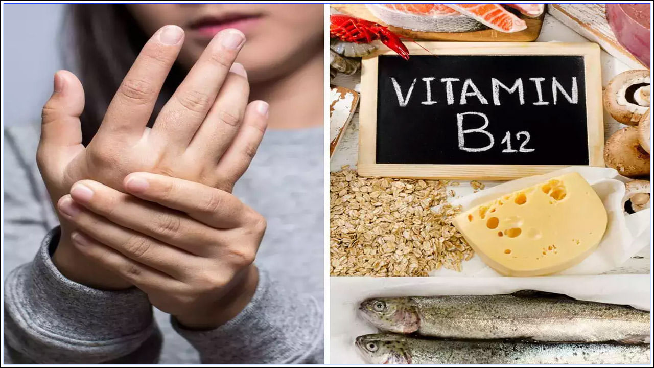 వైద్యుల ప్రకారం, విటమిన్ B12 పని ఎర్ర రక్త కణాలను తయారు చేయడం. అలాగే నాడీ వ్యవస్థను మెరుగ్గా ఉంచడం. దీని లోపం మెదడు పనితీరుపై కూడా ప్రభావం చూపుతుంది. అటువంటి పరిస్థితిలో ఈ విటమిన్ లోపాన్ని తేలికగా తీసుకోకూడదు.