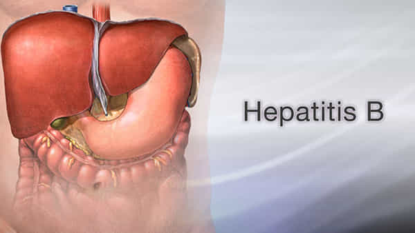 World Hepatitis Day 2023: ప్రమాదకర హెపటైటిస్.. కాలేయానికి వచ్చే ఈ వ్యాధిని ఇలా గుర్తించవచ్చు..