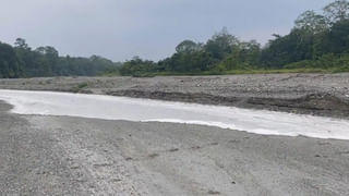 Optical Illusion: ఈ సైనికుల గుంపులో దాగివున్న 3 అరటిపండ్లను కేవలం 10 సెకెన్లలో గుర్తు పట్టండి చూద్దాం..