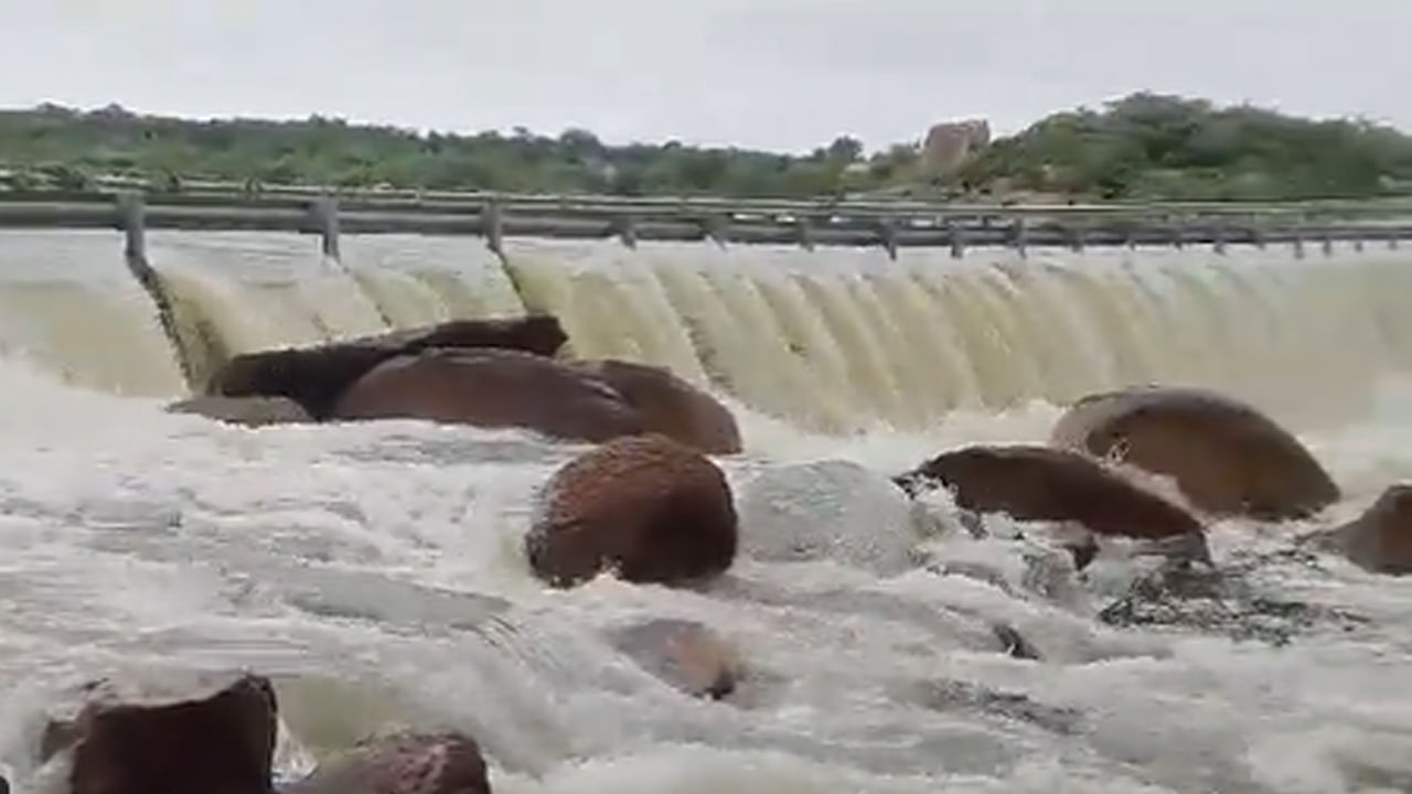 జలాశయాలు, చెరువులు, సరస్సులు పొంగిపొర్లడం వల్ల.. ఎక్కువగా వరద నీటిలో పాములు బయటకు కొట్టువస్తున్నాయని.. ఇలా నివాస ప్రాంతాలకు చేరుతున్నాయని తెలిపారు. అయితే, నగరంలోని ఇళ్లలోకి ప్రవేశించడం చాలా అరుదని అవినాష్ చెప్పారు. ఈ మధ్య కాలంలో ఎక్కువగా నాగు పాములను రక్షించినట్లు తెలిపారు. ఇటీవల కురిసిన భారీ వర్షాల కారణంగా నగర శివార్లలోని పలు ఇళ్లు, కంపెనీలు, కర్మాగారాల్లో పాములు చేరినట్లు పేర్కొన్నారు. 