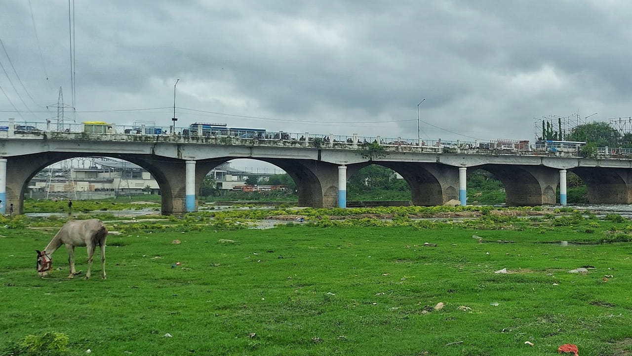 సొసైటీలో సుమారు 150 మంది సుశిక్షితులైన వాలంటీర్లు ఉన్నారని.. వారంతా పాములను రక్షించి అటవీ ప్రాంతాలకు తరలిస్తారని అవినాష్ వివరించారు.