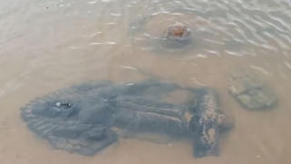 AP Gvt Primary Schools: ఏపీలో వరుసగా మూతపడుతోన్న సర్కార్ బడులు.. కారణం ఇదే!