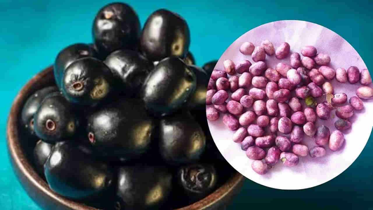 Jamun Seeds: నేరేడు పండ్లే కాదు విత్తనాలూ దివ్యౌషధమే.. ఇలా వాడితే ఆ సమస్యలకు చెక్..